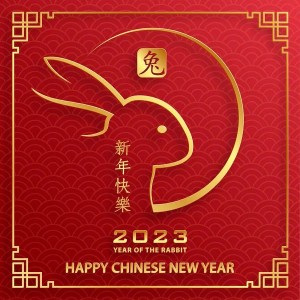 Китайский Новый Год 2023: когда начинается и какие фейерверки запускают?
