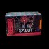 Фейерверк SALUT