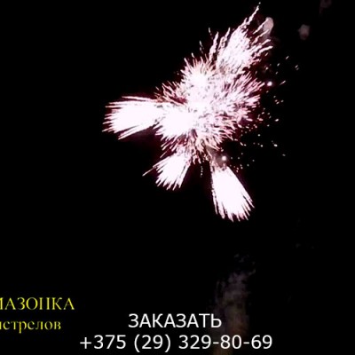 Фейерверк Амазонка FP-B303