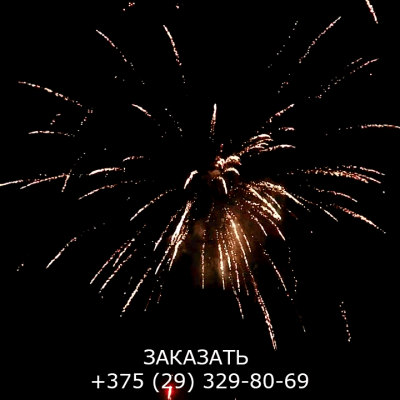 Королевский салют FP-B325