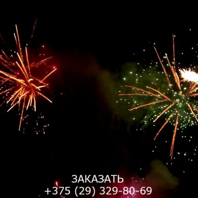Фейерверк Красный лотос FP-B364