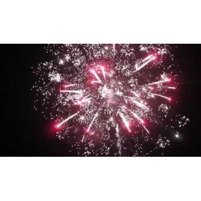 Фейерверк Король небес FP-B308