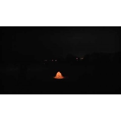 Бабочки Стриж ЛС-7315