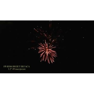 Фейерверк Полет Пегаса FP-B306
