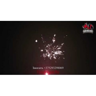 Фейерверк SALUT